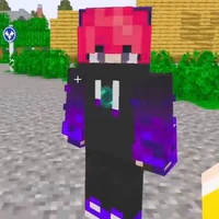 hiha enderman