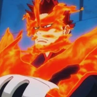 Todoroki Enji/Endeavo