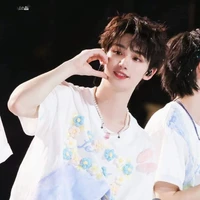 Đinh Trình Hâm(em)