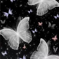 Mama Tô Soái Soái