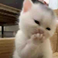 Vương Thị Minh Thư