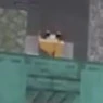 Hiha???