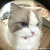 hoàng huy [em GNDTT]