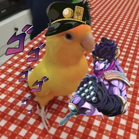 ÉT(Pet t/g)