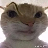 t.giả bị mát mát