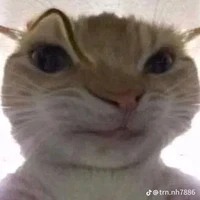 t.giả bị mát mát