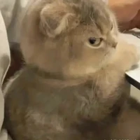 tác giả:Min ngọt