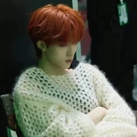 Tô Tân Hạo - cậu