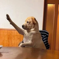 tác giả