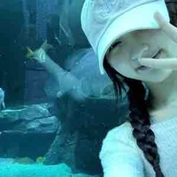 @fallin_ingaeul
