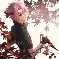 Uchiha Sageki