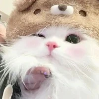 Mấy đứa nhỏ