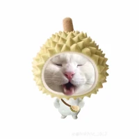 all bot