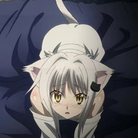 koneko