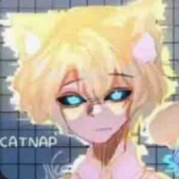 Hiha anti Catnap 