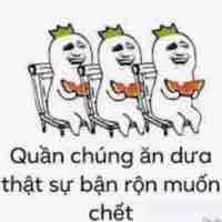 Cân mọi loại vai