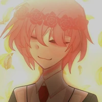 tt hiha