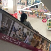 tác giả lè