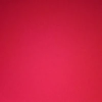 mn trong cuộc họp 