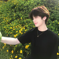 Vũ Thiện Đức Nam