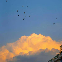 All(trừ ai thì trừ)