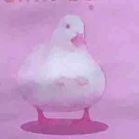 Tớ là An🎀🫶
