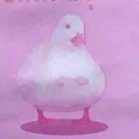 Tớ là An🎀🫶