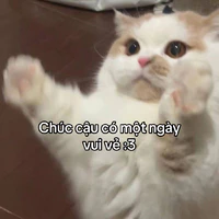 Tác giả dô tri