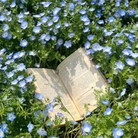 Cân mọi loại vai .