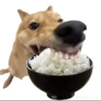 Tác giả 