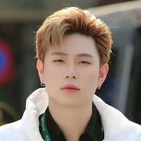 dương domic