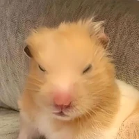 ？？？