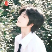 Tần Quan Sư Tử.