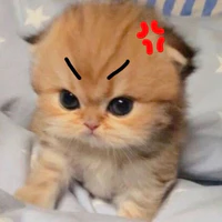 t/g