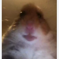 tom