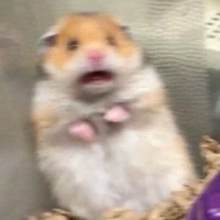 my