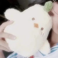 hệ thống _ chíp chíp