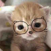 Các quản gia khác