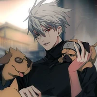 Kakashi(TL)