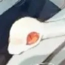 kaburamaru