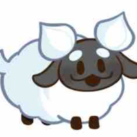 cream sheep