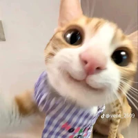 tuiiii🙂‍↕️