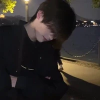 đinh Trần Nhân Mã