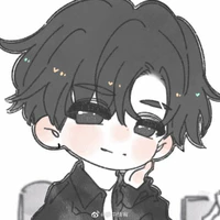 nvp nam