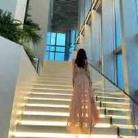 Đinh Trang Anh