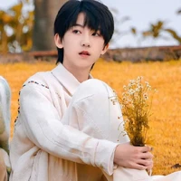 Dương Bác Văn_anh