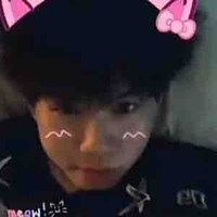 Hữu đạt (phoenix)