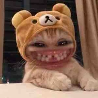 Tác giả đẹp gái đây