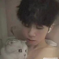 Hữu Đạt (phonix)