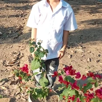 T/G(tui lấy hình em trai tui)